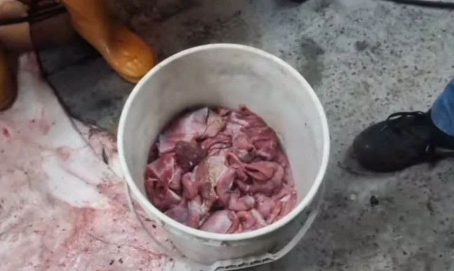 Alerta: Carne de curtiembres usada para hacer chorizos, pinchos y empanadas en puestos callejeros 