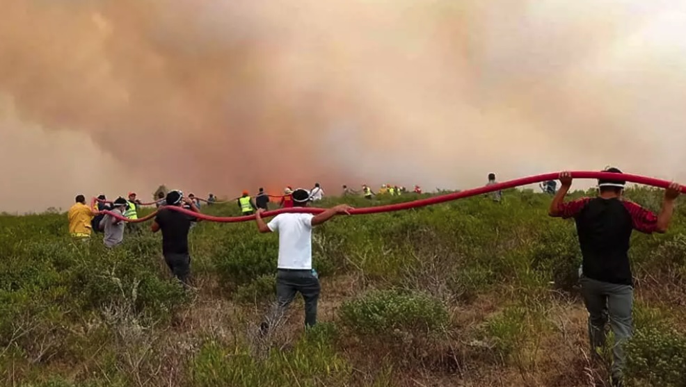 Gobierno de Dina Boluarte minimiza incendios forestales