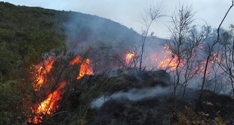 Indigente Arrestado Acusado de Provocar Incendios en el Este del Condado de San Diego