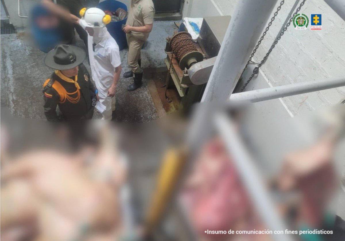 Desarticulan red criminal que sacrificaba ganado enfermo para vender su carne en Medellín 