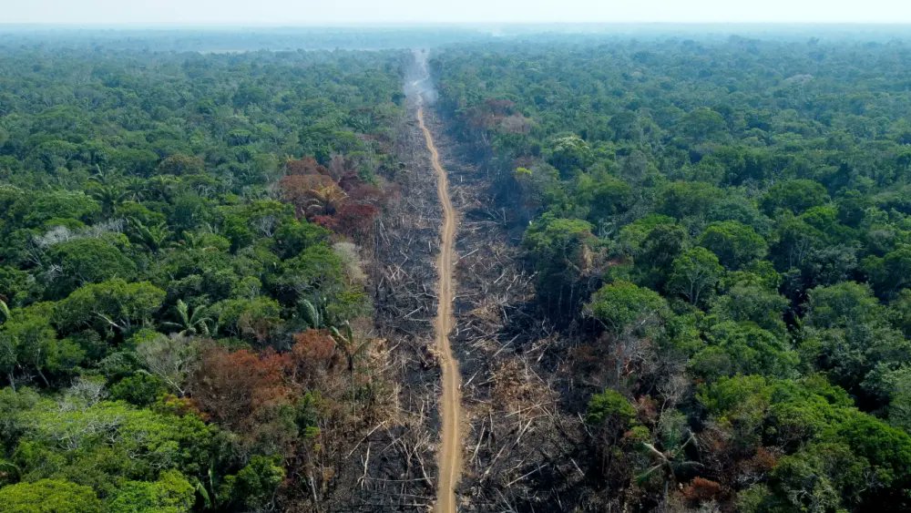 La deforestación en la Amazonía colombiana aumentó un 117 % tras el acuerdo de paz 