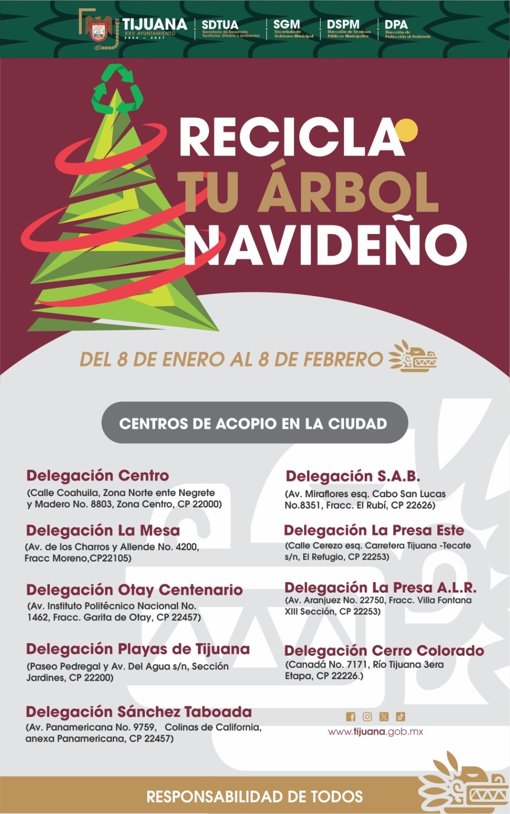 🎄 Habilitarán centros de acopio de árboles de Navidad en Tijuana para evitar contaminación