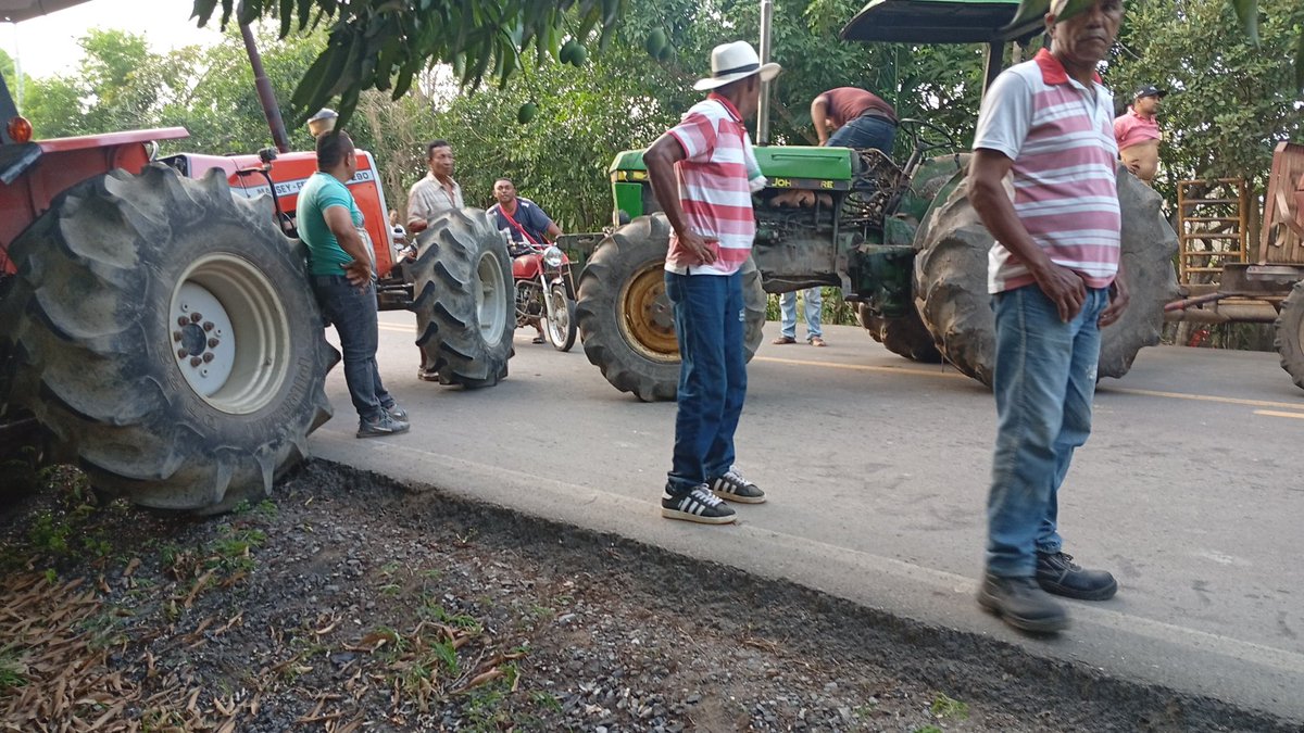 Paro de arroceros en Colombia: el sector en crisis
